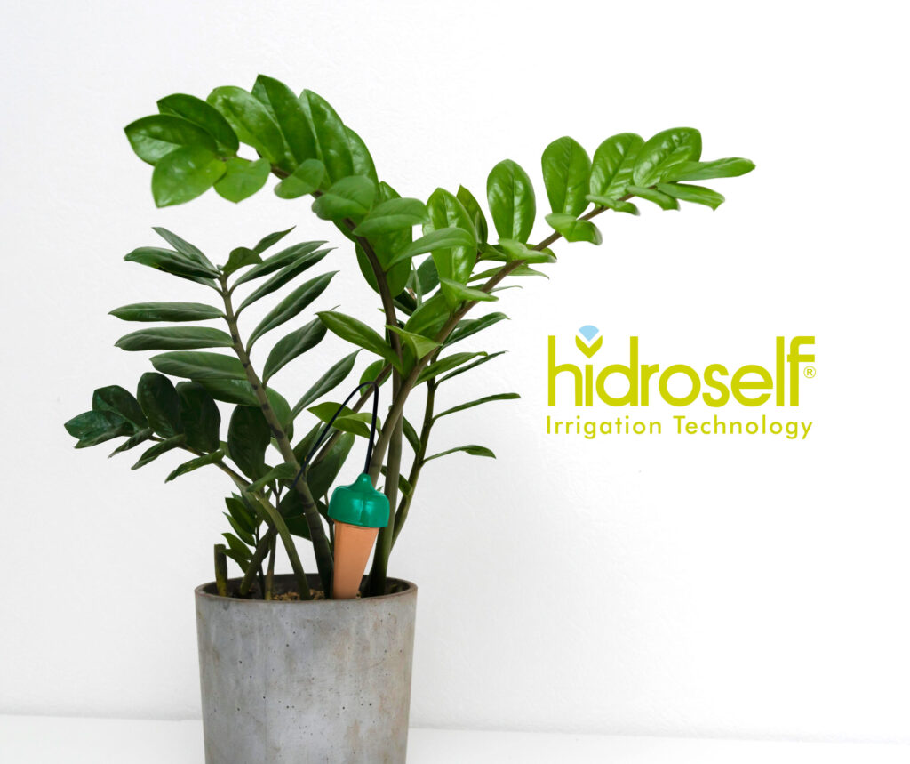 Relaxdays Set di 4 sfere per irrigazione dosate per piante e